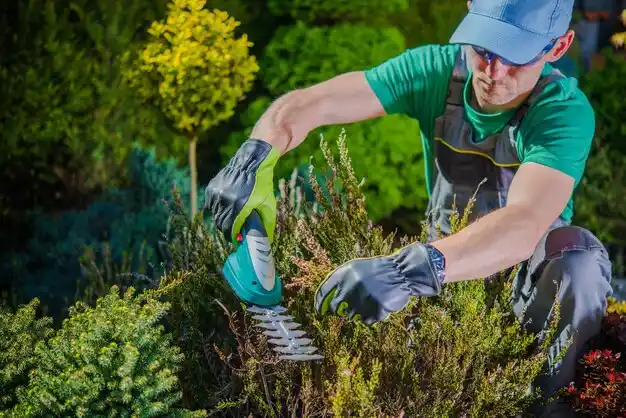 landscaping services Fredonia
